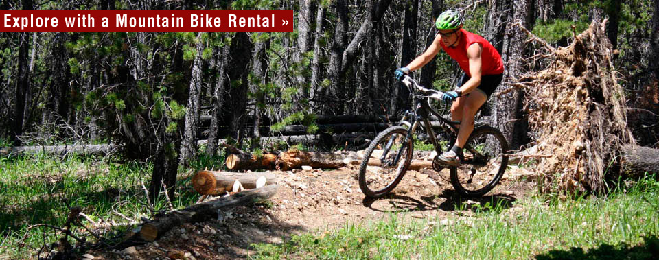Mountain Bike Rentals