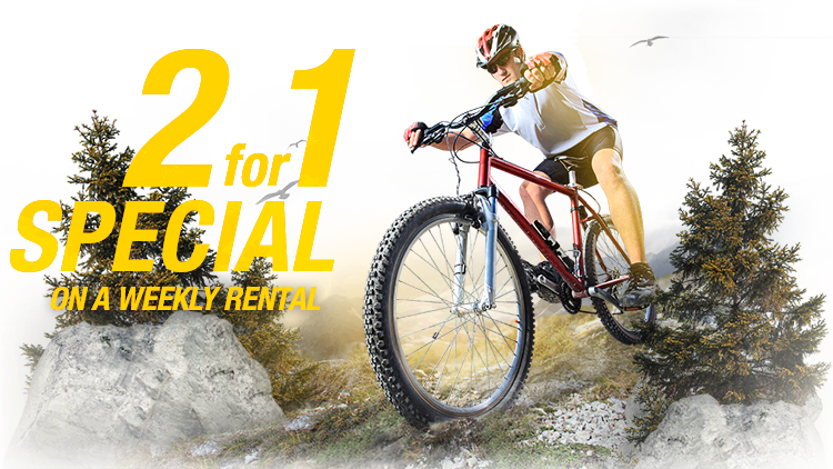 Mountain Bike Rentals