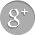 Google+ logo