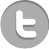 twitter social media icon